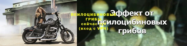 сатива Баксан