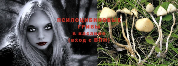 первитин Арсеньев