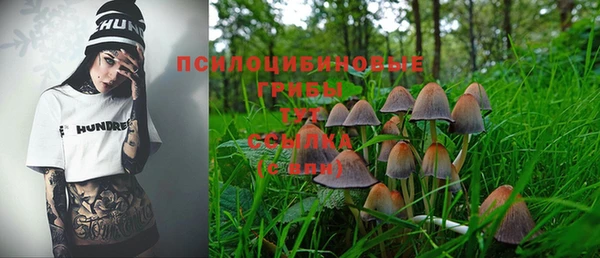 первитин Арсеньев