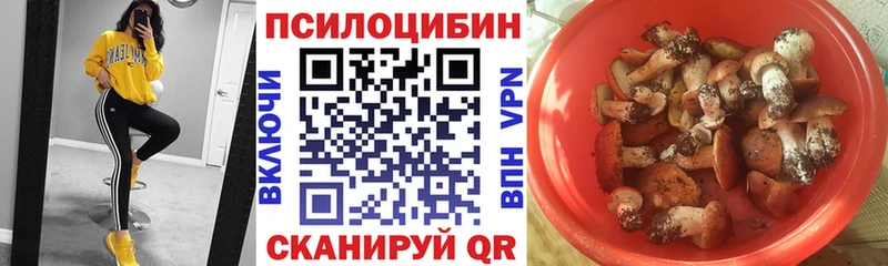 даркнет сайт  Суровикино  Галлюциногенные грибы Psilocybe 